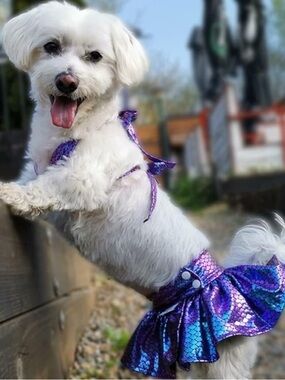 Cute Bone Iridescent Purple Mermaid Scale Bikini Skirt